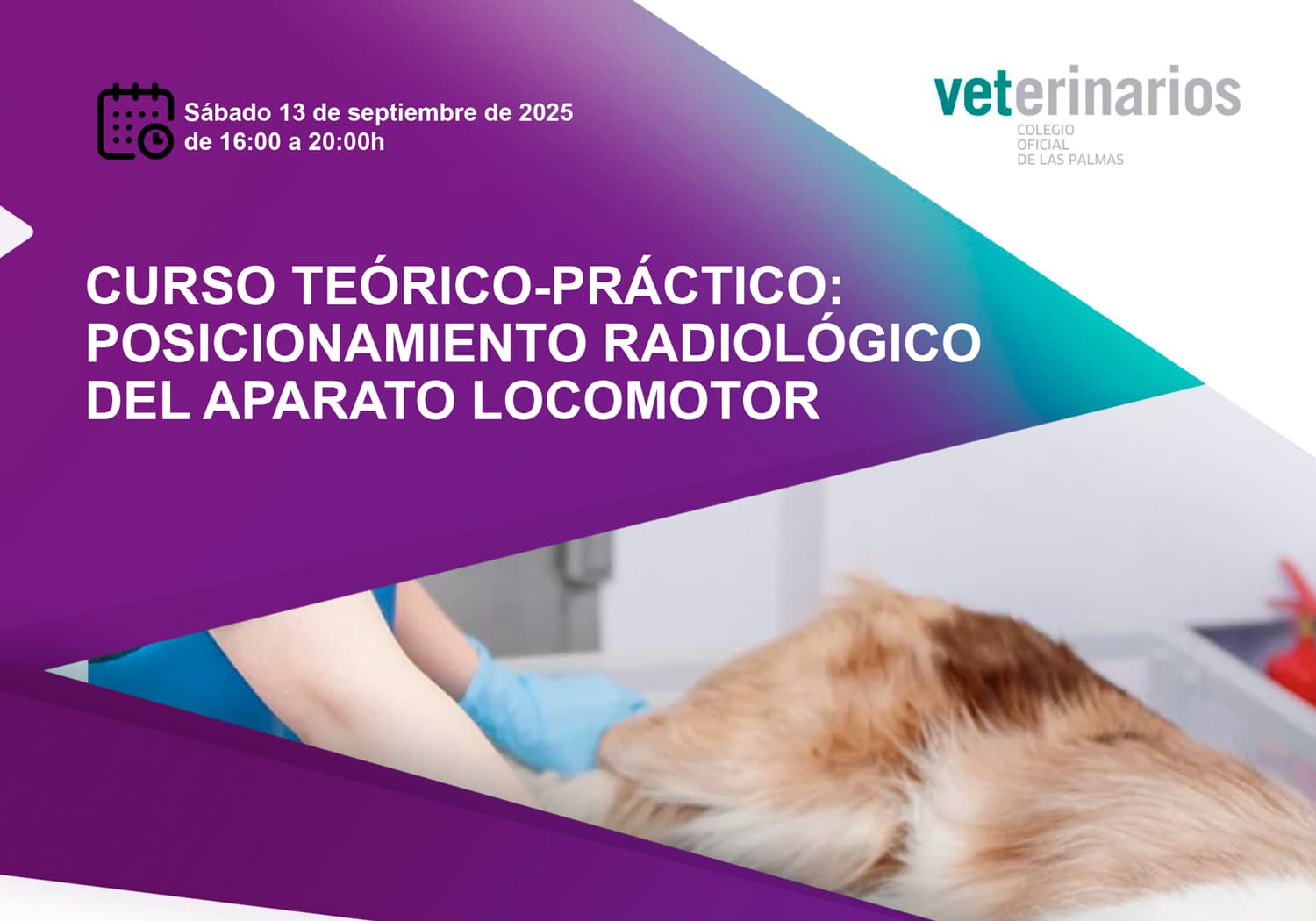 CURSO TEÓRICO-PRÁCTICO: POSICIONAMIENTO RADIOLÓGICO DEL APARATO LOCOMOTOR