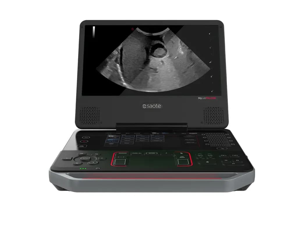 MyLab Falcon