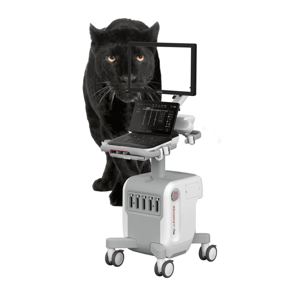 MyLab PANTHER