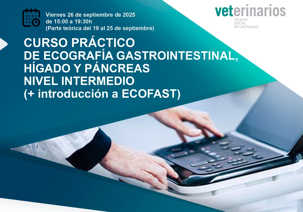 CURSO PRÁCTICO DE ECOGRAFÍA GASTROINTESTINAL, HÍGADO Y PÁNCREAS NIVEL INTERMEDIO