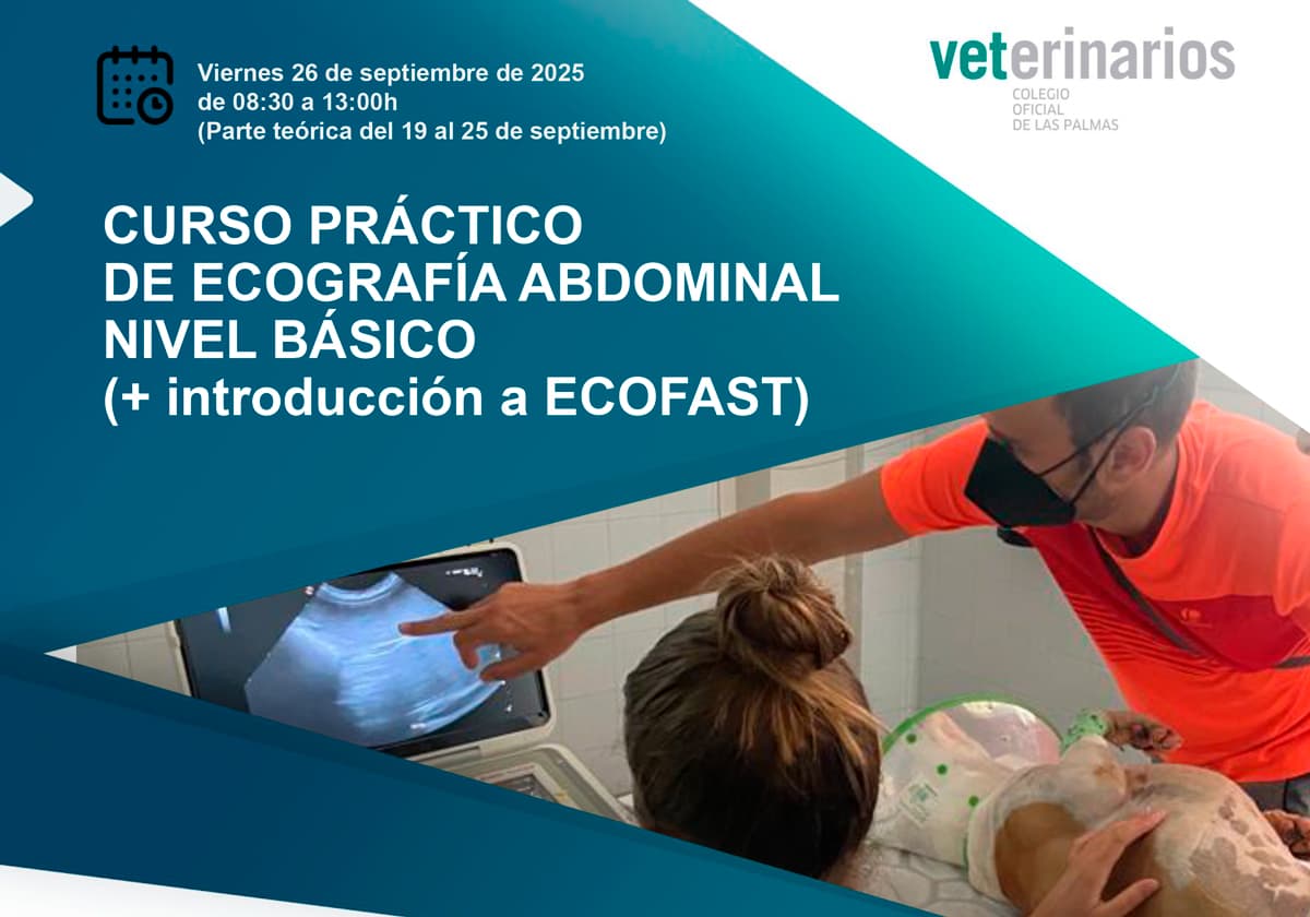 CURSO PRÁCTICO DE ECOGRAFÍA ABDOMINAL NIVEL BÁSICO