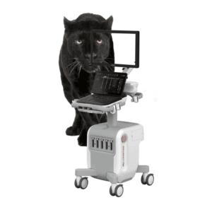 MyLab PANTHER